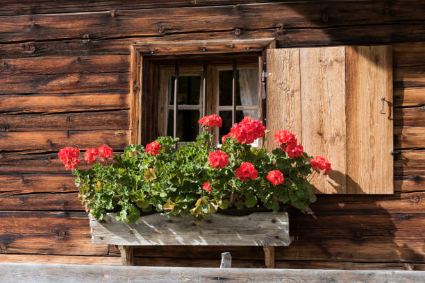istock Hut and window with red flowers 1181462915