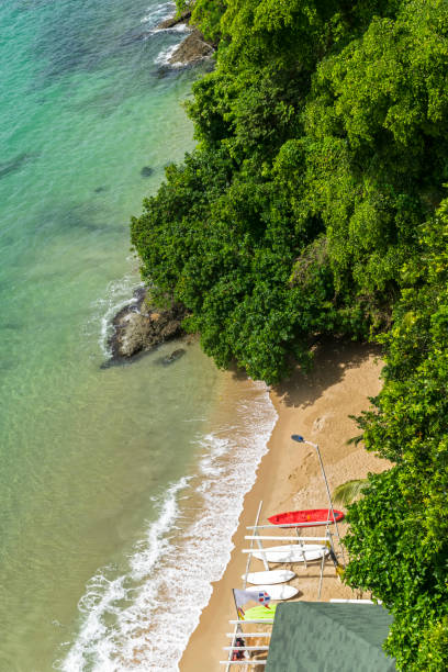 istock Paradise in Dominican Republic 1181463004