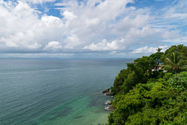 istock Paradise in Dominican Republic 1181463030