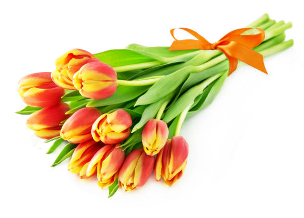 istock Tulips bouquet orange on white background 1181467243