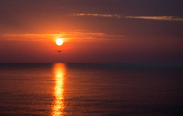 istock beautiful sunset over the sea in summer time 1181469166