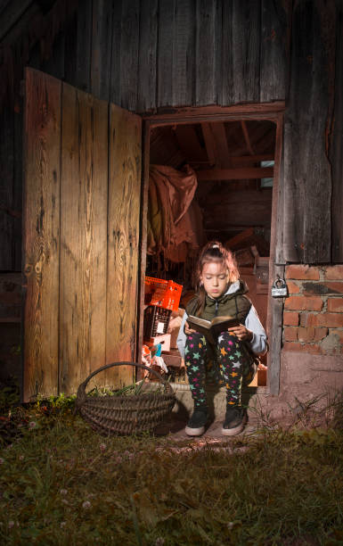 istock Girl in the barn reading a book. 1181470095