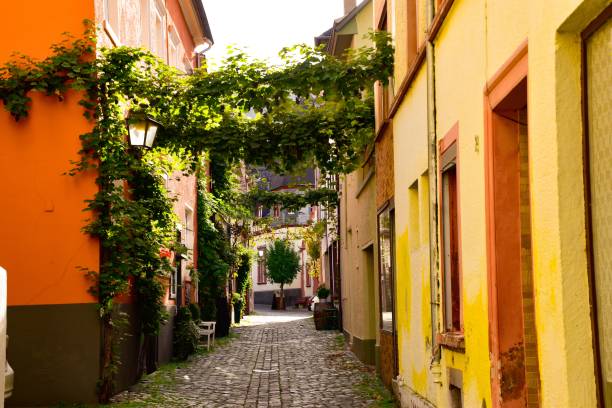 モーゼルのベルンカステル・クエス市 - german culture germany vineyard village ストックフォトと画像