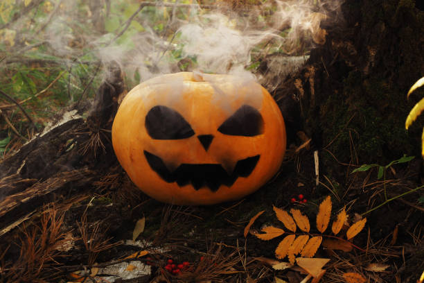 istock Halloween Pumpkin with a carved scary muzzle and smoke coming from the eye sockets. Forest. 1181470615