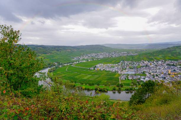 istock Leiwen village on the Moselle 1181471846