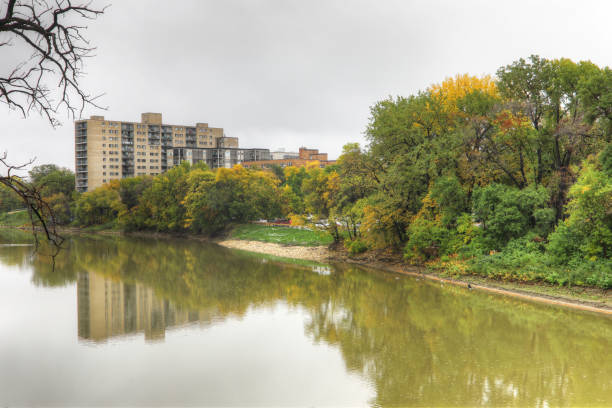 scène de la rivière assiniboine à winnipeg, canada - urban scene canada city winnipeg photos et images de collection