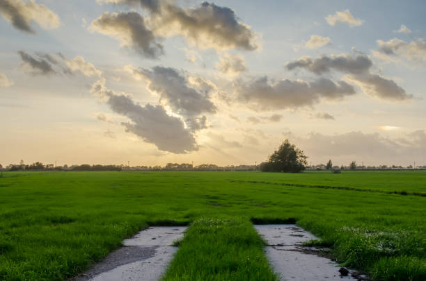 istock Stone path in front of green farm land 1181472958