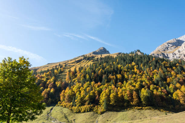istock Autumn in the karwendel mountains 1181472993