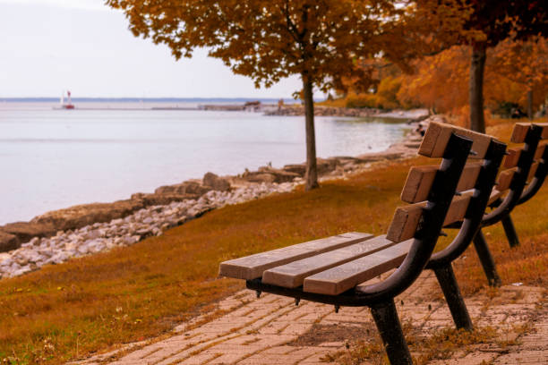 istock Autumn colors landscape with bench overlooking a lake 1181473156