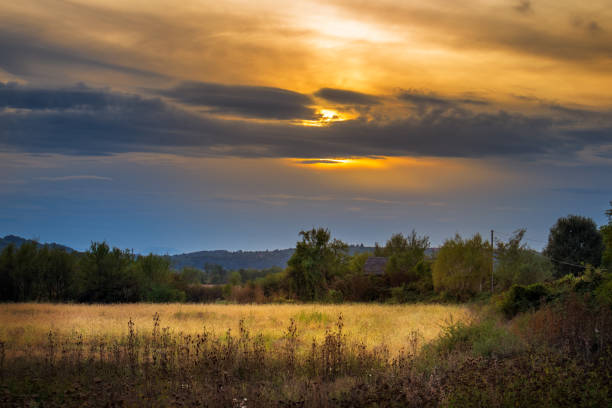 istock Meadow and fields in autumn at sunset 1181473303