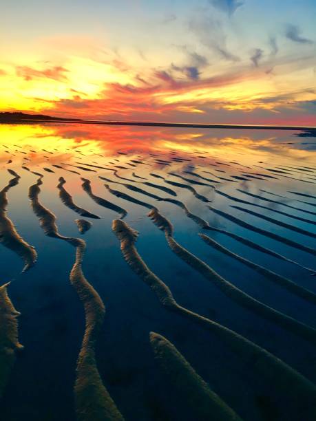 zachód słońca nad dorszem przylądku - cape cod national seashore zdjęcia i obrazy z banku zdjęć