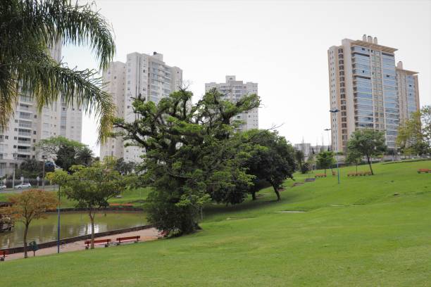 The natural beauties found in the Germânia park in Porto Alegre, Rio Grande do Sul. Beautiful weekend outing enjoying the natural beauty of the Germânia park in Porto Alegre, Rio Grande do Sul. porto grande stock pictures, royalty-free photos & images