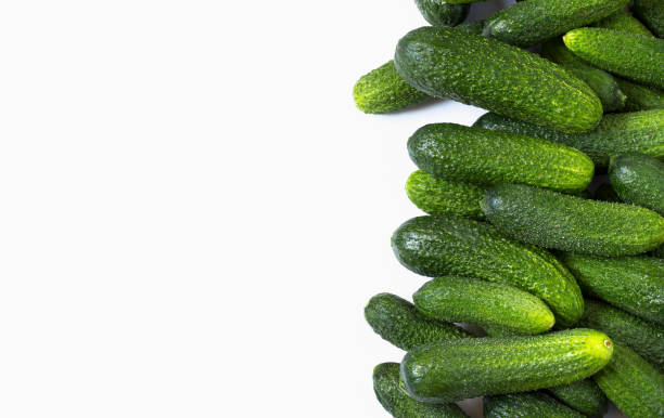 Fresh cucumbers isolated on white stock photo
