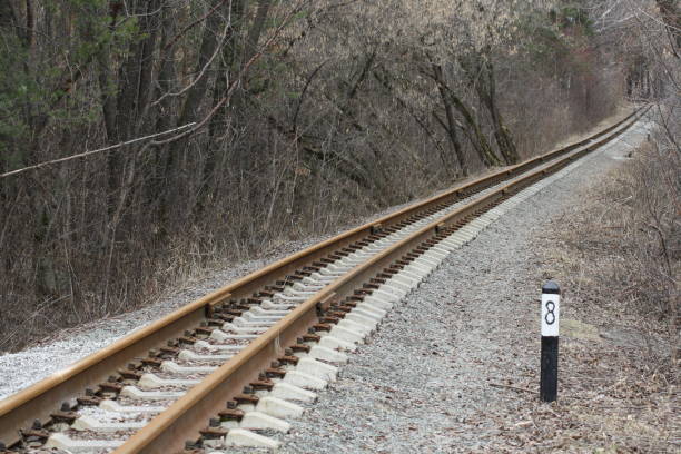 istock Rails railway running away in autumn park 1181479289