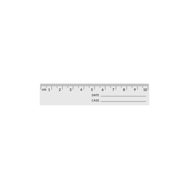 istock Forensic ruler for the measuring of a crime scene evidence. 1181480049