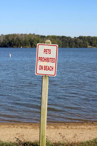 istock Red and White Sign on the Beach 1181480657