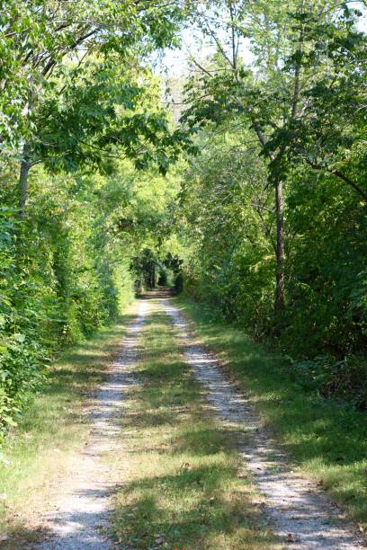 istock Gravel Road and Path 1181482943