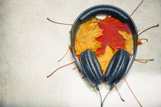 earphones with colorful maple leafs inside on rough grey stone texture