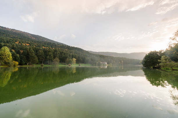 istock Abant lake national park 1181486072