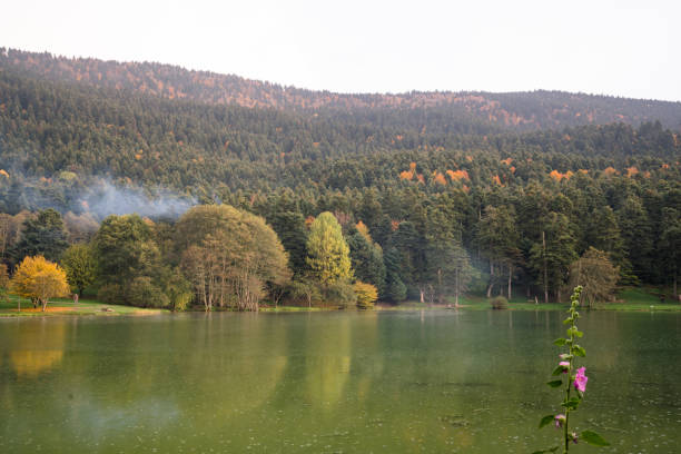 Abant lake national park