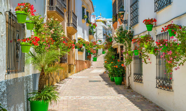 The beautiful Estepona, little and flowery town in the province of Malaga, Spain. The beautiful Estepona, little and flowery town in the province of Malaga, Spain. spanish flower pots stock pictures, royalty-free photos & images
