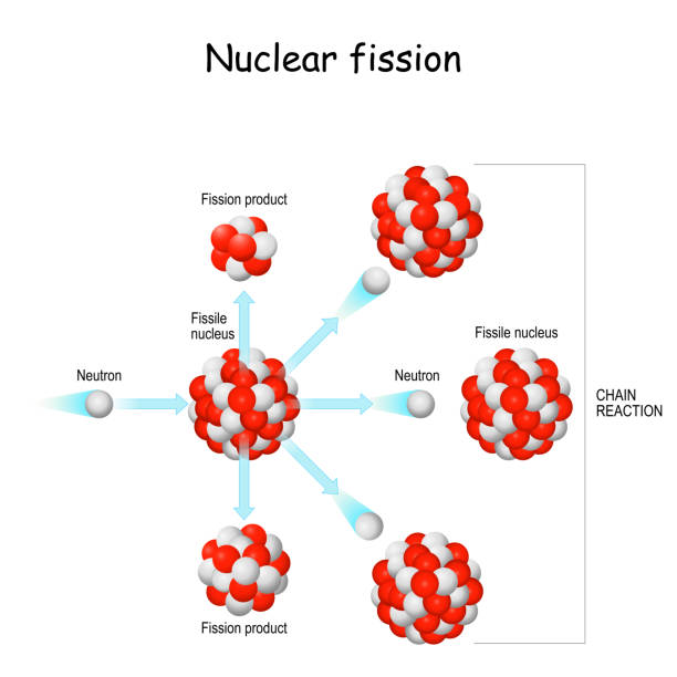 nuclear fission. process in which the nucleus of atom splits into smaller parts. nuclear fission. process in which the nucleus of atom splits into smaller parts. vector illustration for science, educational, physics and chemistry use. nuclear fission stock illustrations