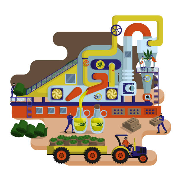 Concept of industrial plant for Hemp processing and oil and textile production Concept of industrial plant for Hemp processing. Tractor with cannabis bags. Workers and engineers. Production CBD oil, fabric and bilding materials. Flat vector. cannabis-processing-facility stock illustrations