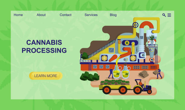 Concept of industrial plant for hemp processing. Concept of website, landing page design template Concept of industrial plant for hemp processing oil and textile production. Concept of website, landing page design template. Tractor, workers, engineers. Building materials from waste. Flat vector cannabis-processing-facility stock illustrations