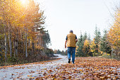 Senior man walking in autumn road