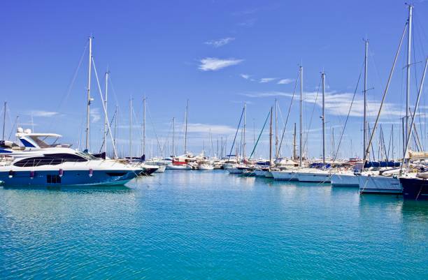 Wight yachts moored at the ocean pier Wight yachts and speed boats at harbor. Yachts moored in the port. Ocean Coast pier. High class lifestyle. Yachting. Expensive toys. Sea transport. Nautical journey. Yachting sport. Expensive yachts at the pier. Marina stock pictures, royalty-free photos & images