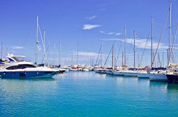 Wight yachts moored at the ocean pier Wight yachts and speed boats at harbor. Yachts moored in the port. Ocean Coast pier. High class lifestyle. Yachting. Expensive toys. Sea ​​transport. Nautical journey. Yachting sport. Expensive yachts at the pier. marina stock pictures, royalty-free photos & images