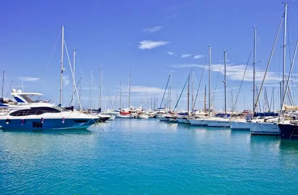 Photo of Wight yachts moored at the ocean pier