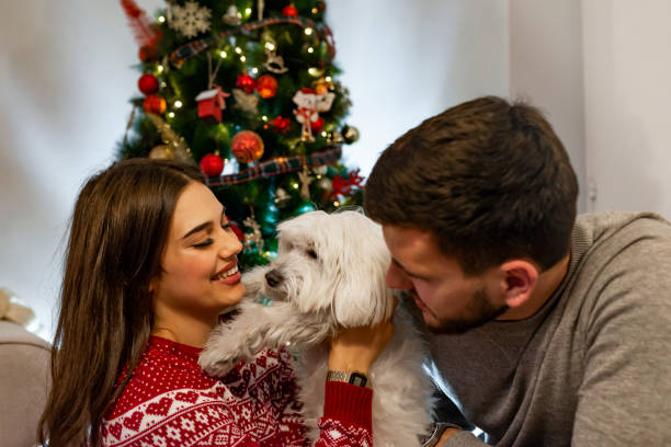 istock Merry Christmas and Happy New Year. 1181498498