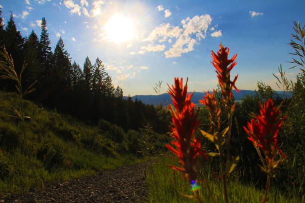 Hiking trail behind Teton Springs in Victor, ID.