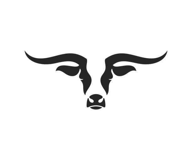 texas longhorn byka. logo. odizolowana głowa byka na białym tle - texas longhorn cattle bull horned cattle stock illustrations