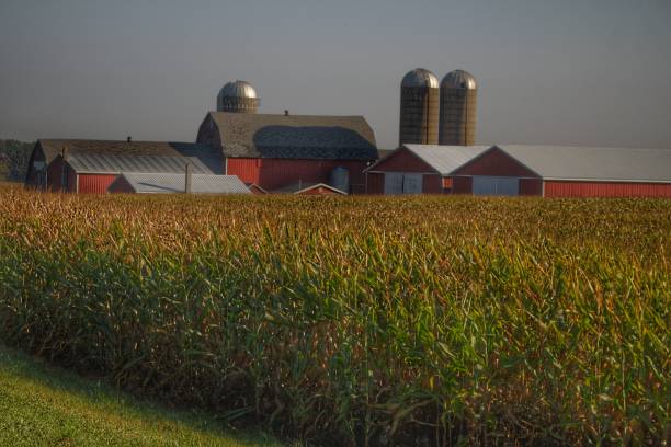 istock 0104 - Slattery Road Farm and Cornfield II 1181504090