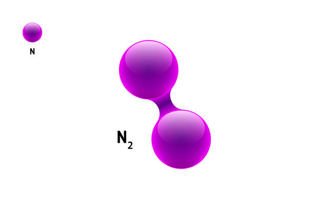 Chemistry model molecule nitrogen N2 scientific element formula. Integrated particles natural inorganic 3d azote molecular structure consisting. Two volume atom vector spheres Chemistry model molecule nitrogen N2 scientific physics element formula. Integrated particles natural inorganic 3d azote molecular structure consisting. Two volume atom vector spheres nitrogen stock illustrations