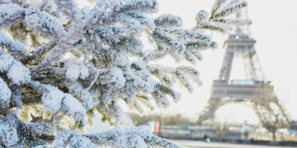 istock Christmas tree covered with snow near Eiffel tower 1181507083