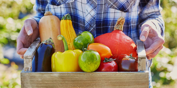 istock Woman holding crate with vegetables on farm 1181508008