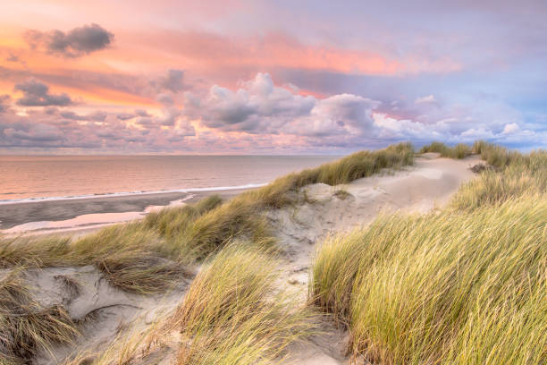 View over North Sea from dune
