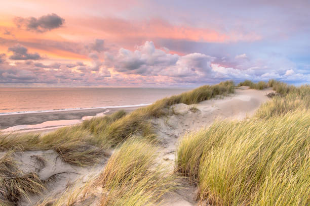 View over North Sea from dune Sunset View from dune over North Sea and Canal in Zeeland, Netherlands sand dune stock pictures, royalty-free photos & images