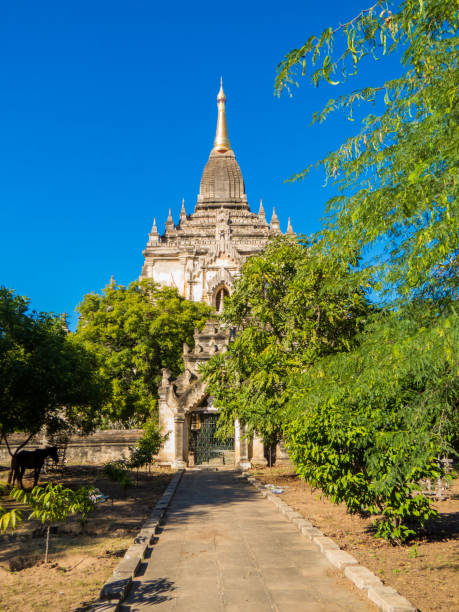 templo gawdawpalin, bagan, myanmar - paling fotografías e imágenes de stock