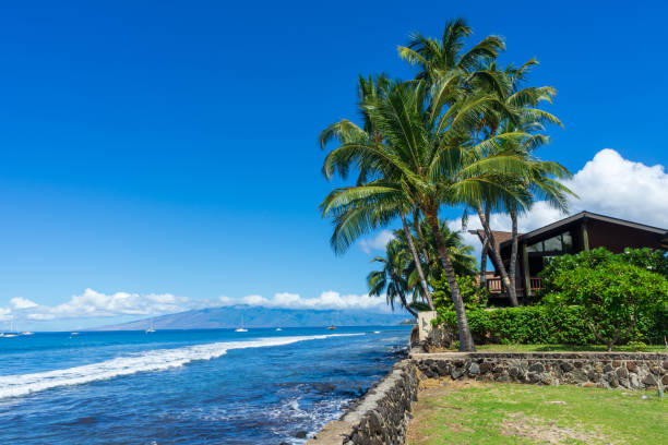 beach front property in lahaina, hawaii - hawaii islands tropical climate mountain residential structure imagens e fotografias de stock