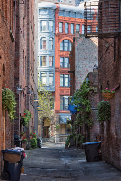 istock Old Alleyway in Seattle 1181516429