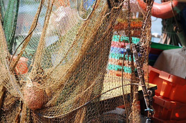 filet de pêche industrielle - fischernetz photos et images de collection