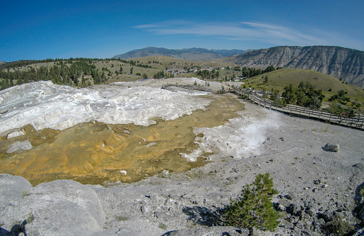 yellostone national park wyoming mammoth springs landscape