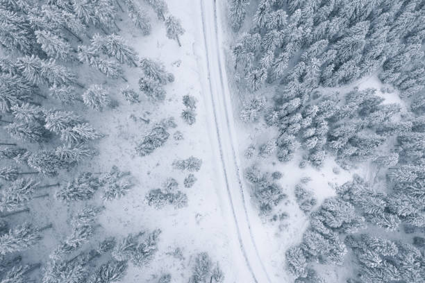istock Snowcapped Country Road 1181522281