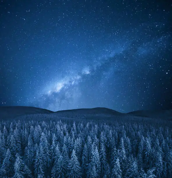 Photo of Winter Under The Stars