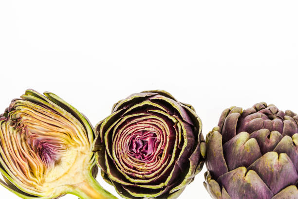 Three fresh purple artichokes,  on white background with copy-space