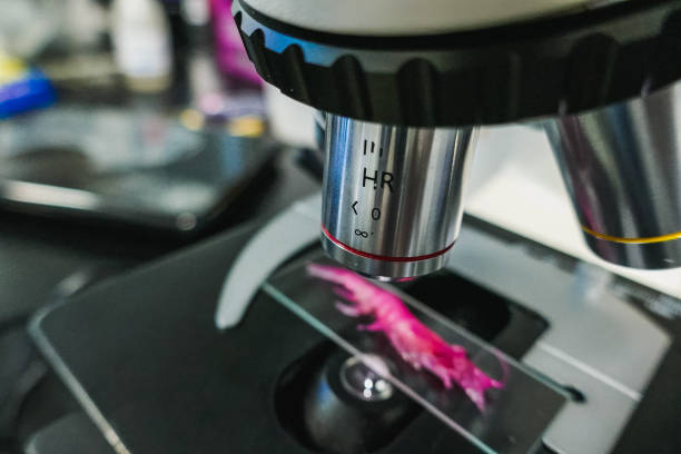 istock science and biological background. Close-up of the microscope in the laboratory. 1181526066